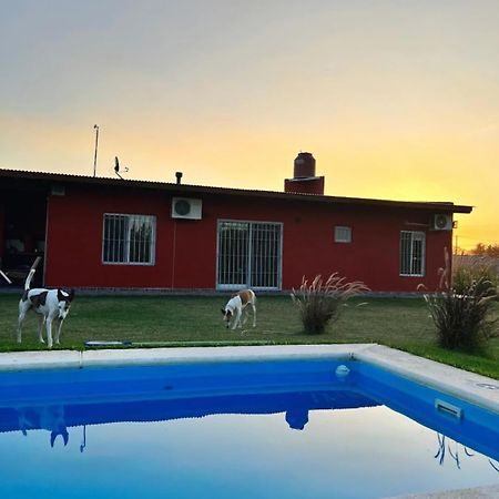 La Quinta De Loli Villa Сан Педро Екстериор снимка